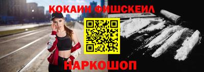 гашик Моздок