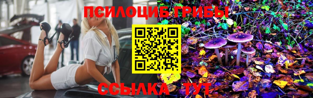 Торжок  Псилоцибиновые грибы прущие грибы  Псилоцибиновые грибы Psilocybe  Вход с VPN 