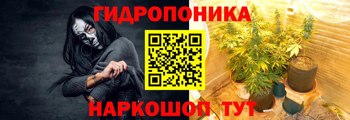 МАРИХУАНА SATIVA & INDICA Торжок